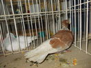 DSCN0354