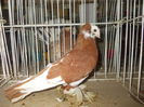 DSCN0358