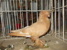 DSCN0359