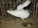 DSCN0362