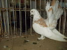 DSCN0365