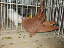 DSCN0367
