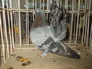 DSCN0369