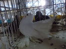 DSCN0379