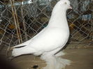 DSCN0387