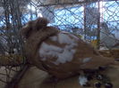 DSCN0390