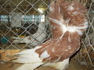 DSCN0396