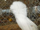 DSCN0398