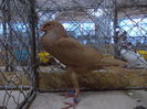 DSCN0403