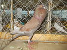 DSCN0404