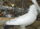 DSCN0410