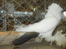 DSCN0411