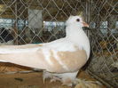 DSCN0414