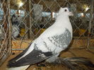 DSCN0417