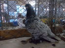 DSCN0428