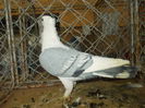 DSCN0439