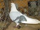 DSCN0442