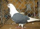 DSCN0444