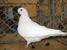 DSCN0448