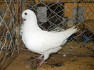 DSCN0449
