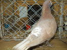 DSCN0451