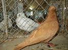 DSCN0460