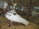 DSCN0466