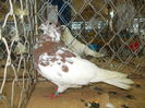 DSCN0467