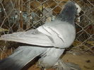DSCN0477