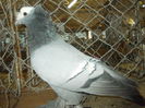 DSCN0478
