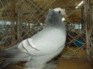 DSCN0479
