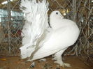 DSCN0489