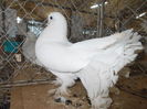 DSCN0491