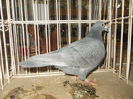 DSCN0500