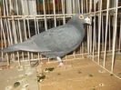 DSCN0501