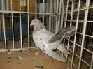 DSCN0503