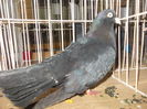 DSCN0504