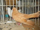 DSCN0507