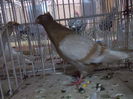 DSCN0510