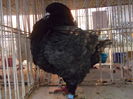 DSCN0526