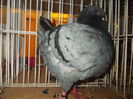 DSCN0528