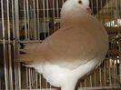DSCN0532