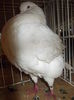 DSCN0533