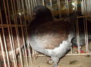 DSCN0537