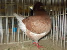 DSCN0538