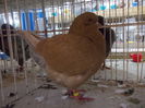 DSCN0540