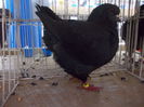 DSCN0542