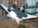 DSCN0546