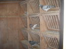 DSCF0094