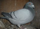 DSCF0097